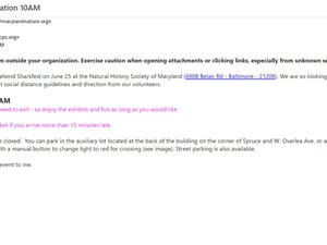 Sharkfest email